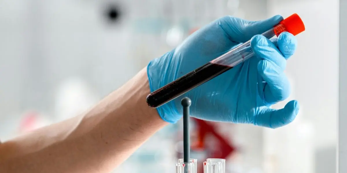 4 Week Phlebotomy Programs in Dallas